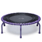 Purple and black rebounder on a white background