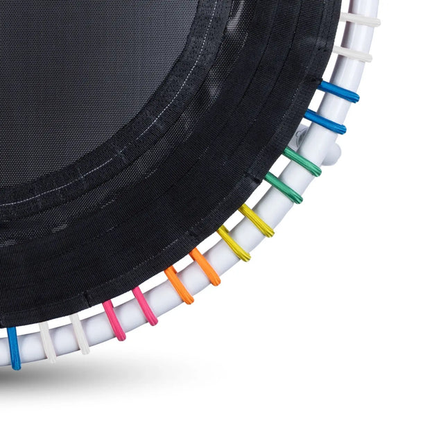 EnduroLast Cords (Set of 36) | Multi-Color | 39" or 44"