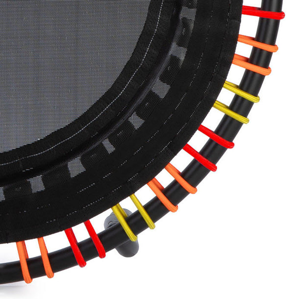 EnduroLast Cords (Set of 36) | Multi-Color | 39