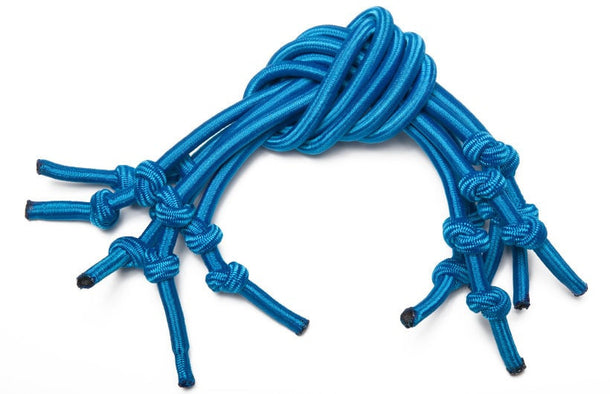 Blue Bungees