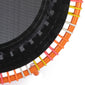 EnduroLast Cords (Set of 36) | Multi-Color | 39