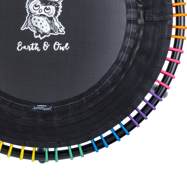 EnduroLast Cords (Set of 36) | Multi-Color | 39" or 44"