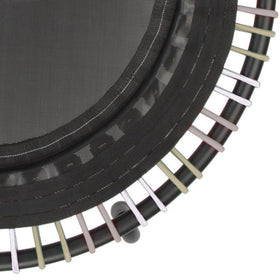 EnduroLast Cords (Set of 36) | Multi-Color | 39" or 44"